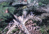 Select an image to enlarge
