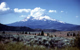 Select an image to enlarge