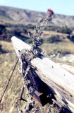 Select an image to enlarge