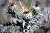Select an image to enlarge