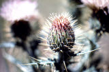 Select an image to enlarge