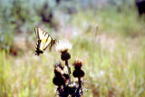 Select an image to enlarge