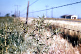 Select an image to enlarge