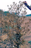 Select an image to enlarge