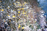 Select an image to enlarge
