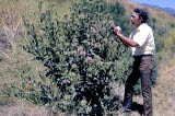 Select an image to enlarge