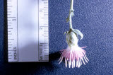 Select an image to enlarge