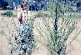 Select an image to enlarge