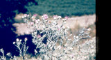 Select an image to enlarge