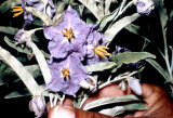 Select an image to enlarge