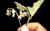 Select an image to enlarge