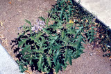 Select an image to enlarge
