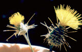 Select an image to enlarge