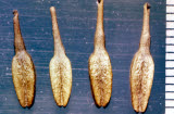 Select an image to enlarge