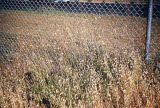 Select an image to enlarge
