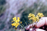 Select an image to enlarge