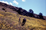 Select an image to enlarge