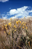 Select an image to enlarge