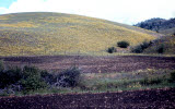 Select an image to enlarge