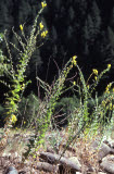 Select an image to enlarge