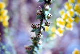 Select an image to enlarge