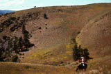 Select an image to enlarge