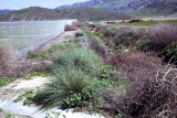 Select an image to enlarge