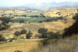 Select an image to enlarge