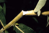 Select an image to enlarge