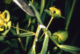 Select an image to enlarge