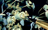 Select an image to enlarge