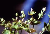 Select an image to enlarge