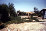 Select an image to enlarge