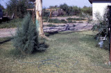Select an image to enlarge