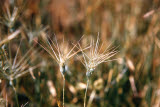 Select an image to enlarge