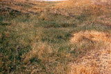 Select an image to enlarge