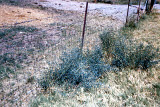 Select an image to enlarge