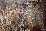 Select an image to enlarge