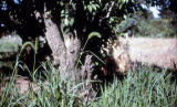 Select an image to enlarge