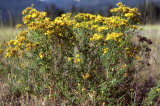 Select an image to enlarge