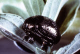 Select an image to enlarge