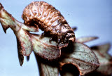 Select an image to enlarge
