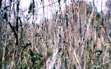 Select an image to enlarge