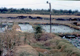 Select an image to enlarge