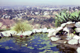 Select an image to enlarge