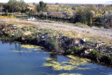 Select an image to enlarge