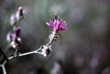 Select an image to enlarge