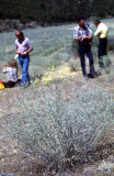 Select an image to enlarge