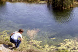 Select an image to enlarge