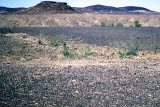 Select an image to enlarge